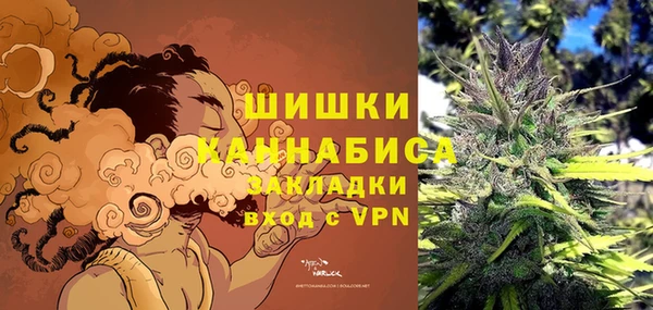 МДПВ Богородицк