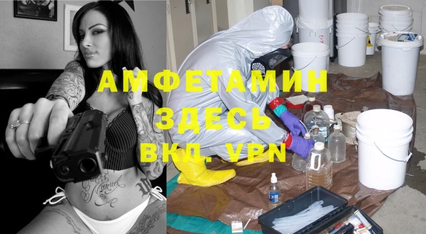 спиды Белокуриха