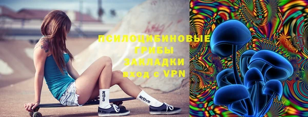 МДПВ Богородицк