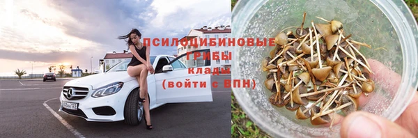 МДПВ Богородицк