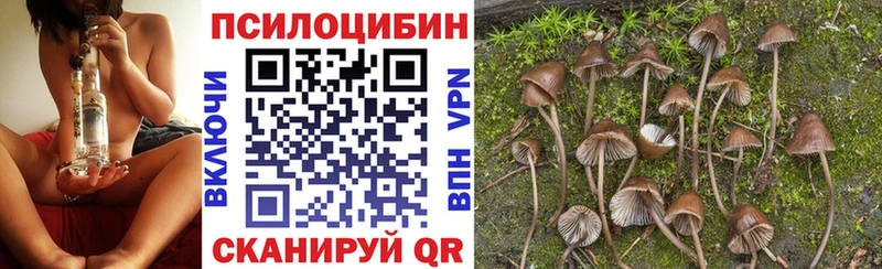 продажа наркотиков  Буинск  Псилоцибиновые грибы Magic Shrooms 